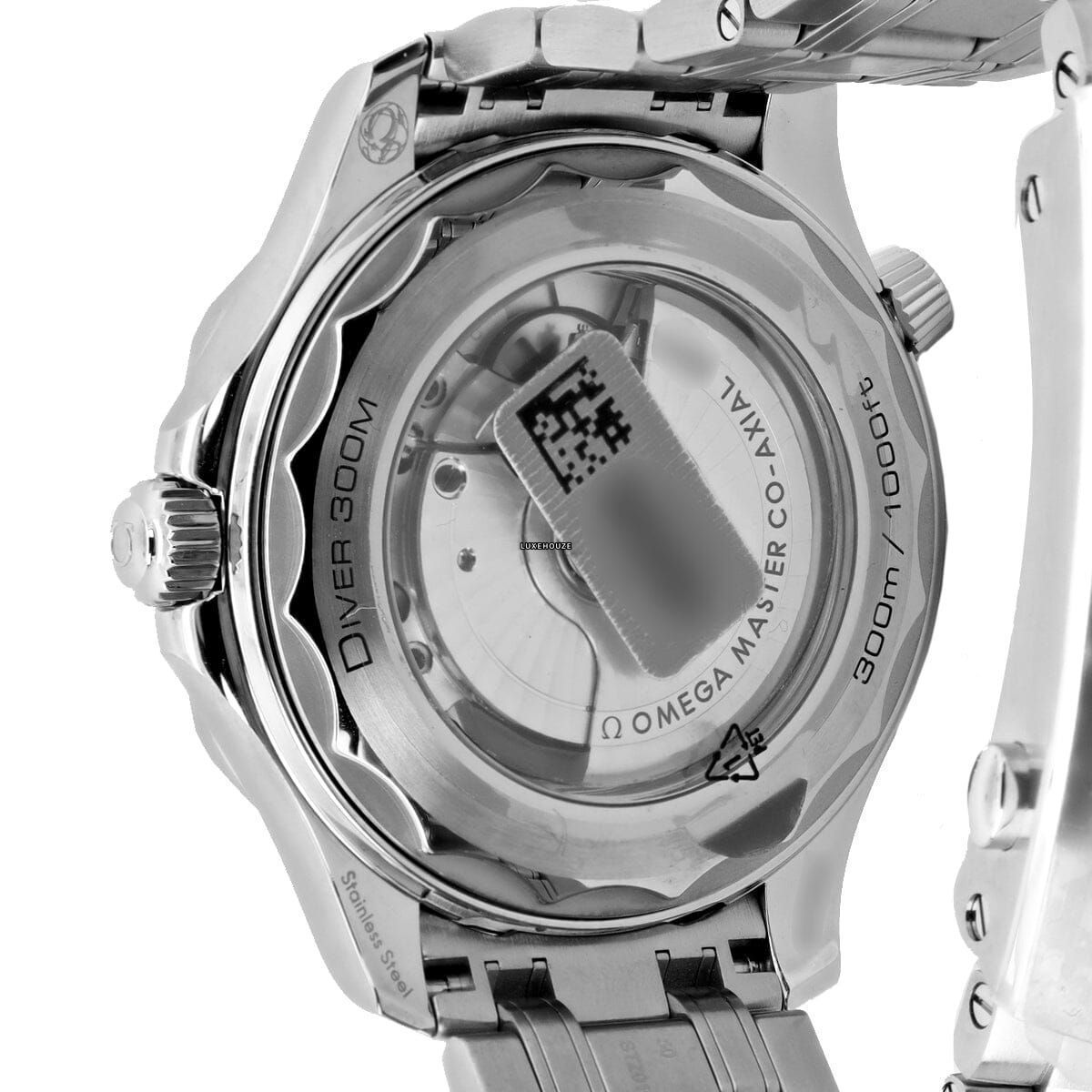 Seamaster Co-Axial 300M 21030422001001 Black