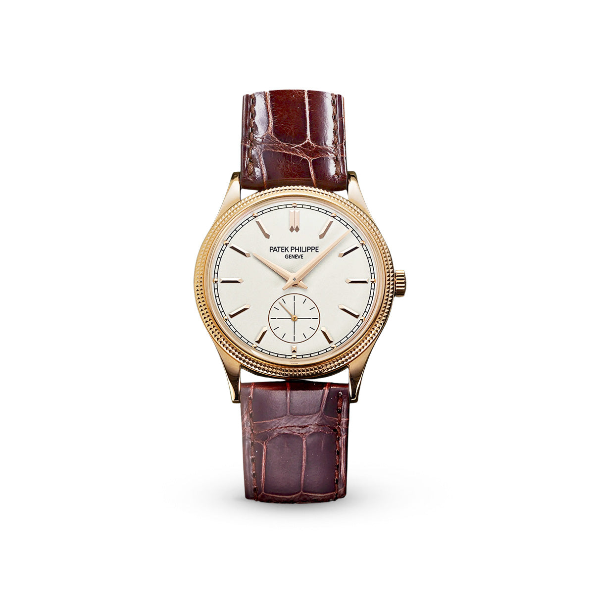 Calatrava 6119R-001 Silver-Patek Philippe