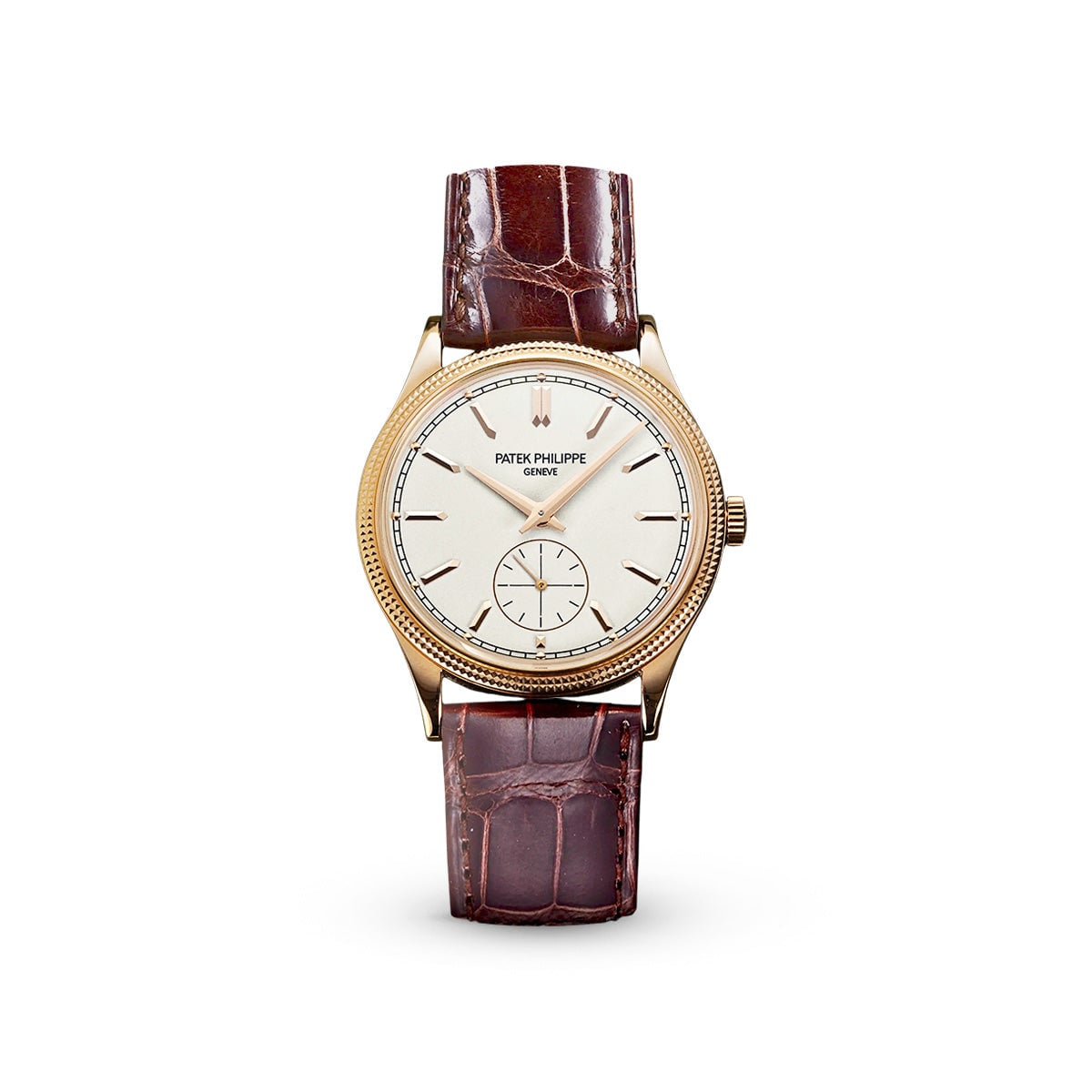 Calatrava 6119R-001 Silver-Patek Philippe