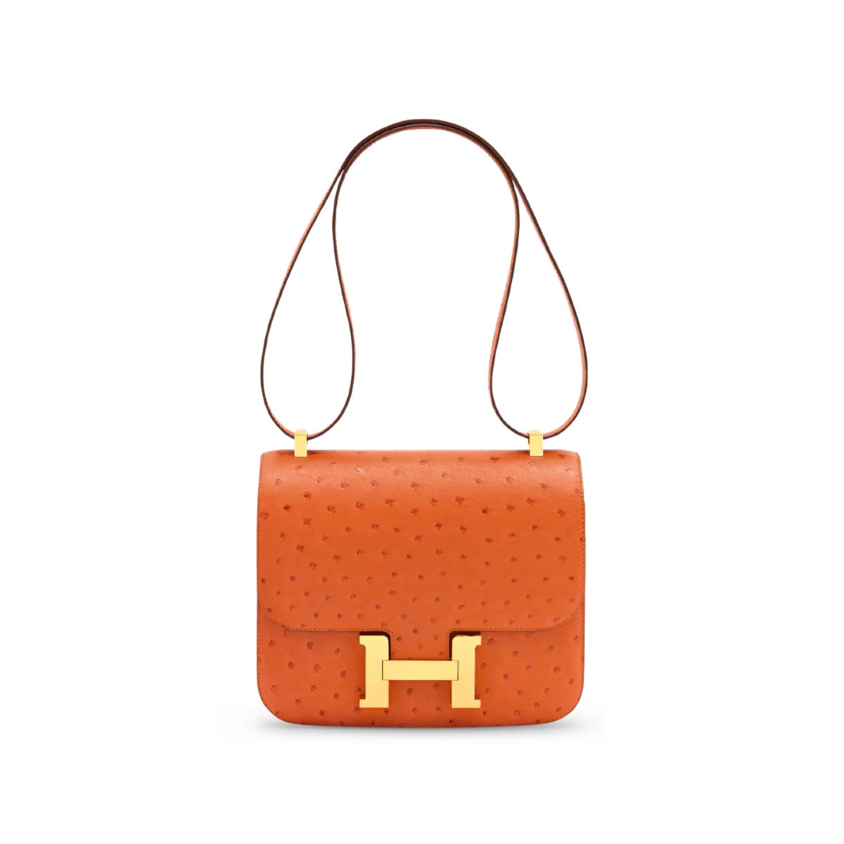 Constance 24 Orange Ostrich GHW X
