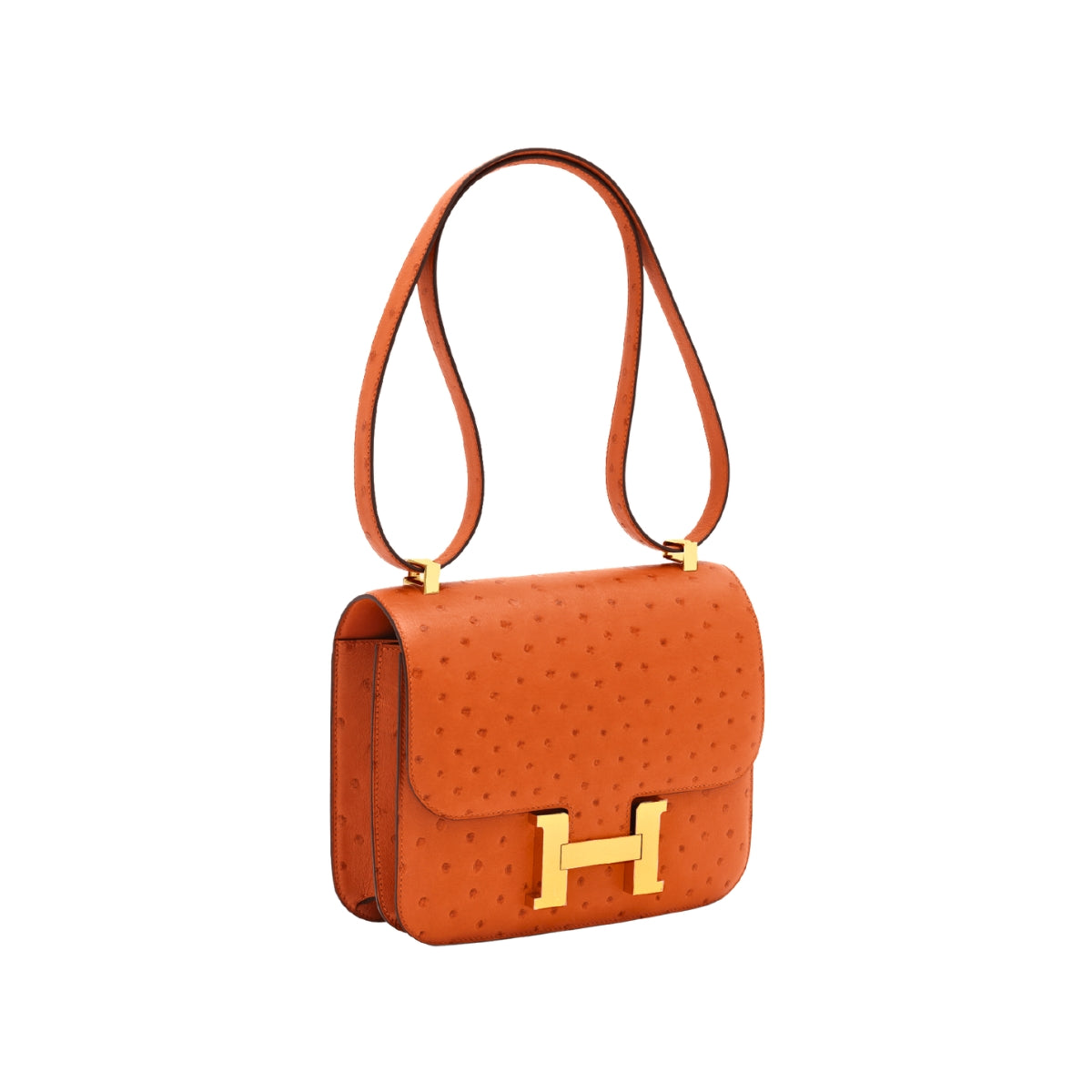 Constance 24 Orange Ostrich GHW X
