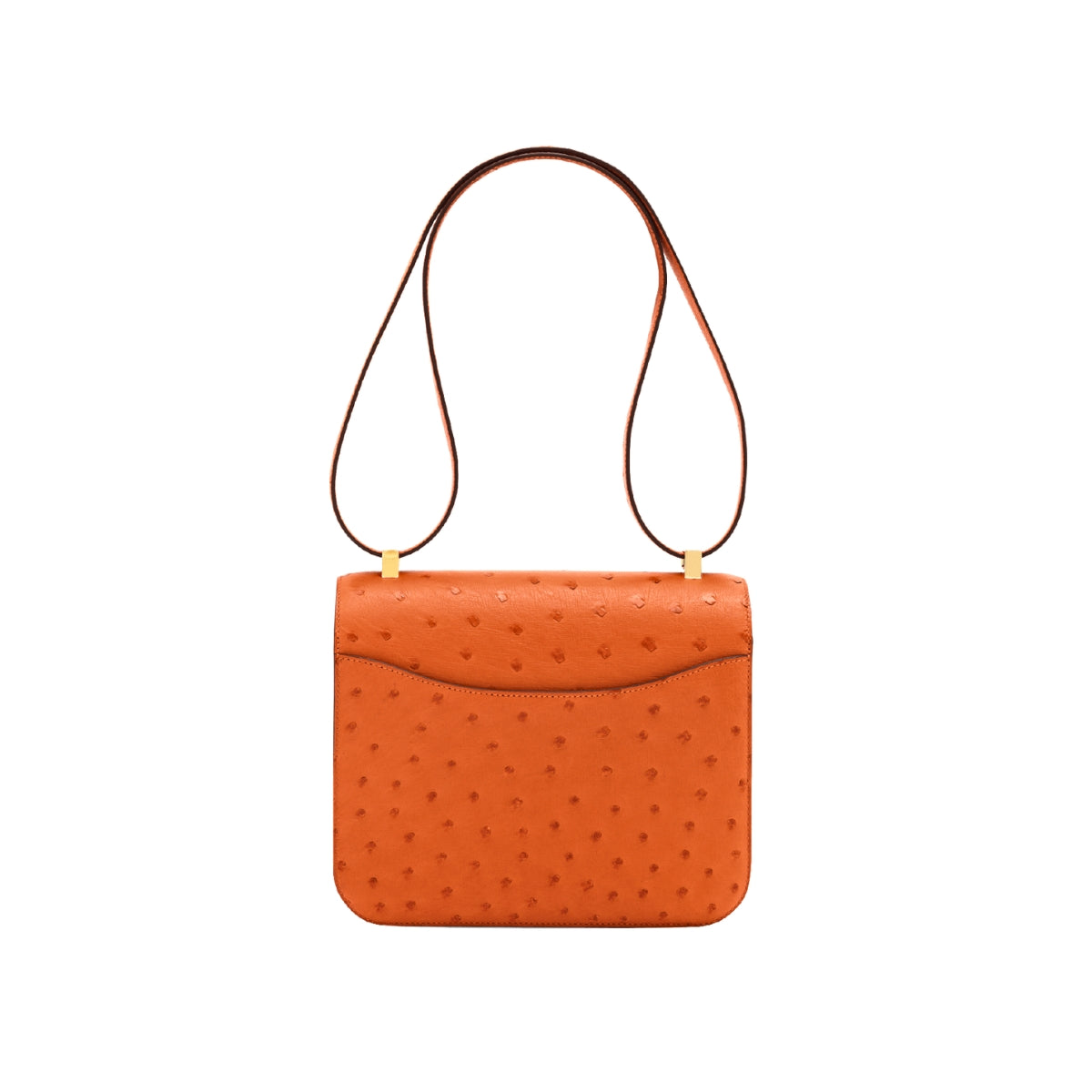 Constance 24 Orange Ostrich GHW X