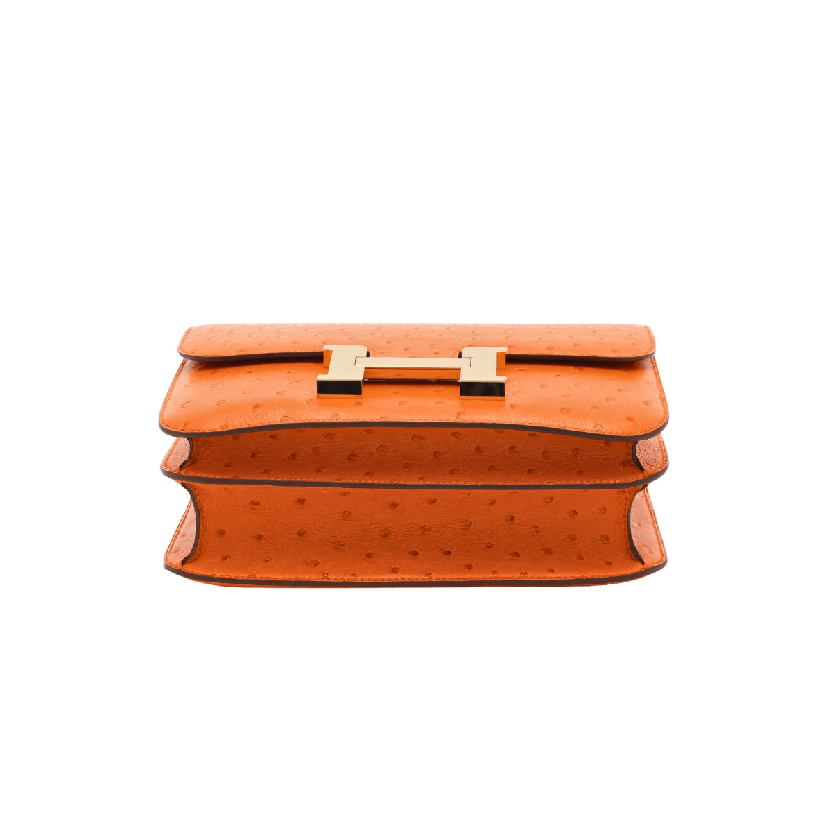 Constance 24 Orange Ostrich GHW X