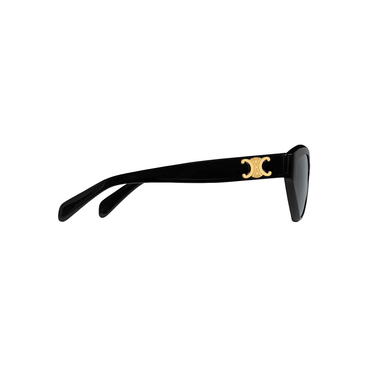 Triomphe 17 Sunglasses Acetate Black GHW