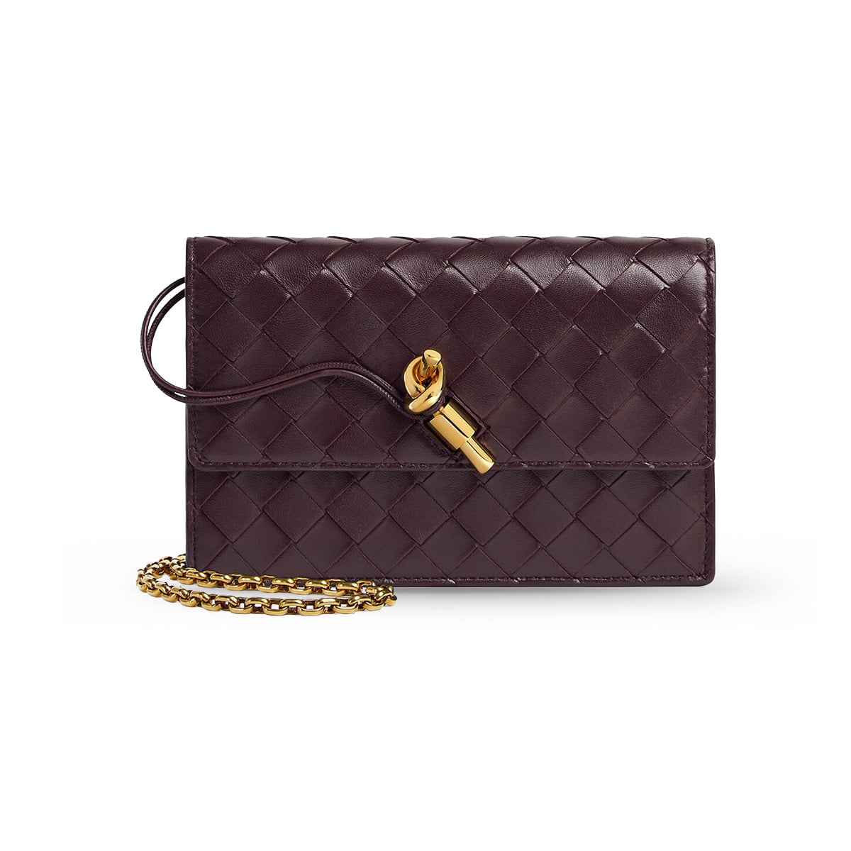 Andiamo Pouch on Chain Dark Barolo