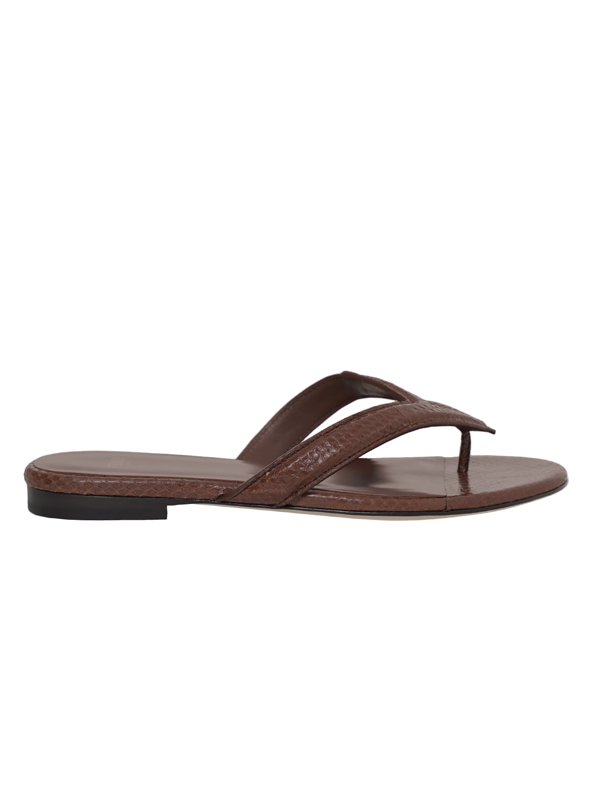Fling Brown Ayers Flip-Flops Brown-Fendi