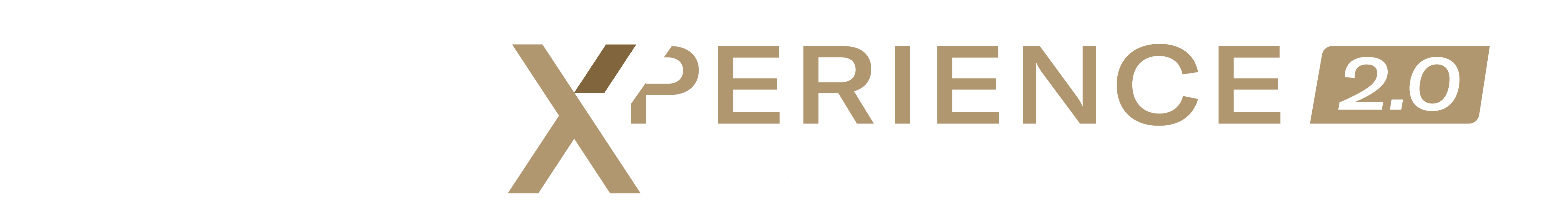 Rolexperience